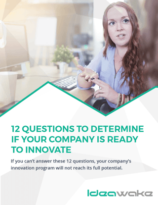 12 Questions to Determine if Your Company Is Ready to Innovate-01-small.png